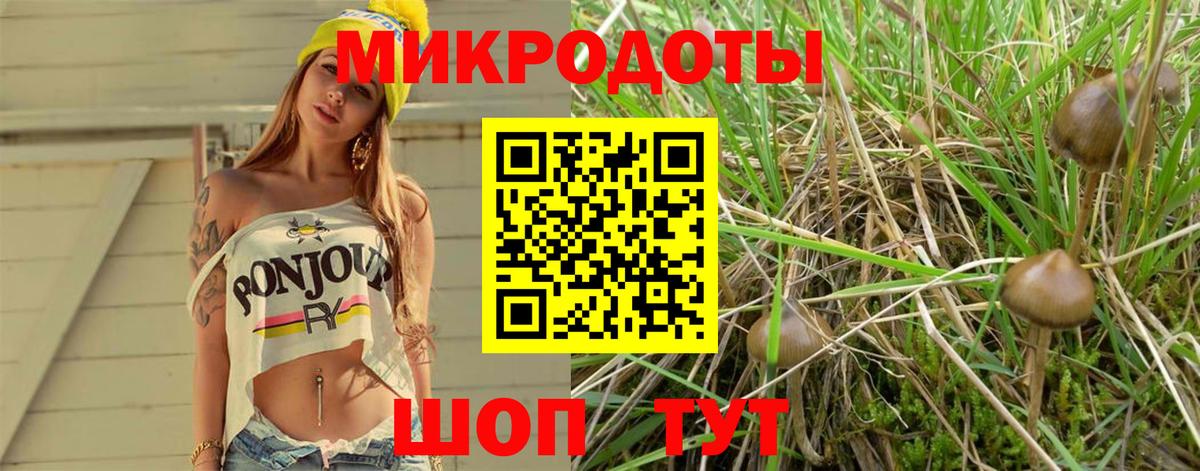 Псилоцибиновые грибы MAGIC MUSHROOMS Приморско-Ахтарск